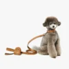 Distributeurs de sacs à crottes avec dragonne en cuir imprimé Monogram