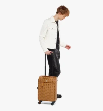 Valises cabine Ottomar en Visetos